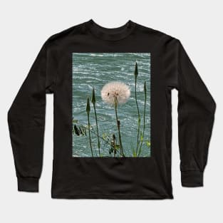 Delicate seeds Long Sleeve T-Shirt